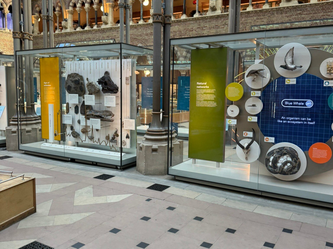 牛津大学自然历史博物馆-牛津必去景点