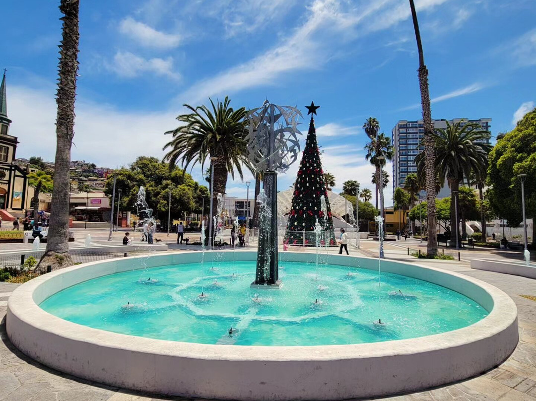 Puerto de Coquimbo-Coquimbo必去景点