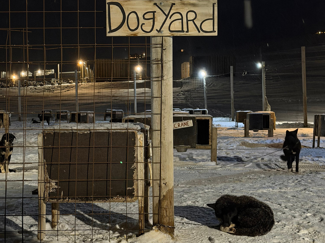 Green Dog Svalbard-朗伊尔城必去景点