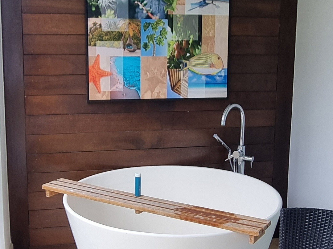 Sandals Barbados主图