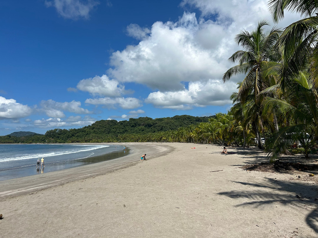 Nammbu Beachfront Bungalows主图