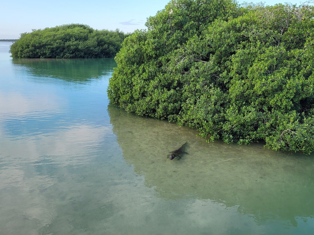 Santi Tour-普拉亚德尔卡曼必去景点