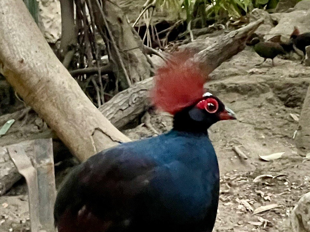 Tropical World-利兹必去景点