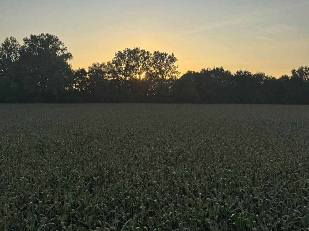 C-Air Ballonvaart-圣尼古拉必去景点