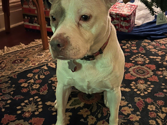 Benton Park Inn主图