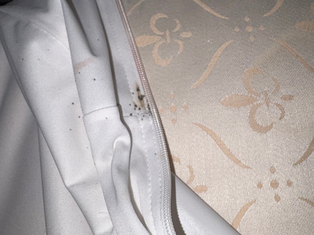 The Kings Head Hotel主图