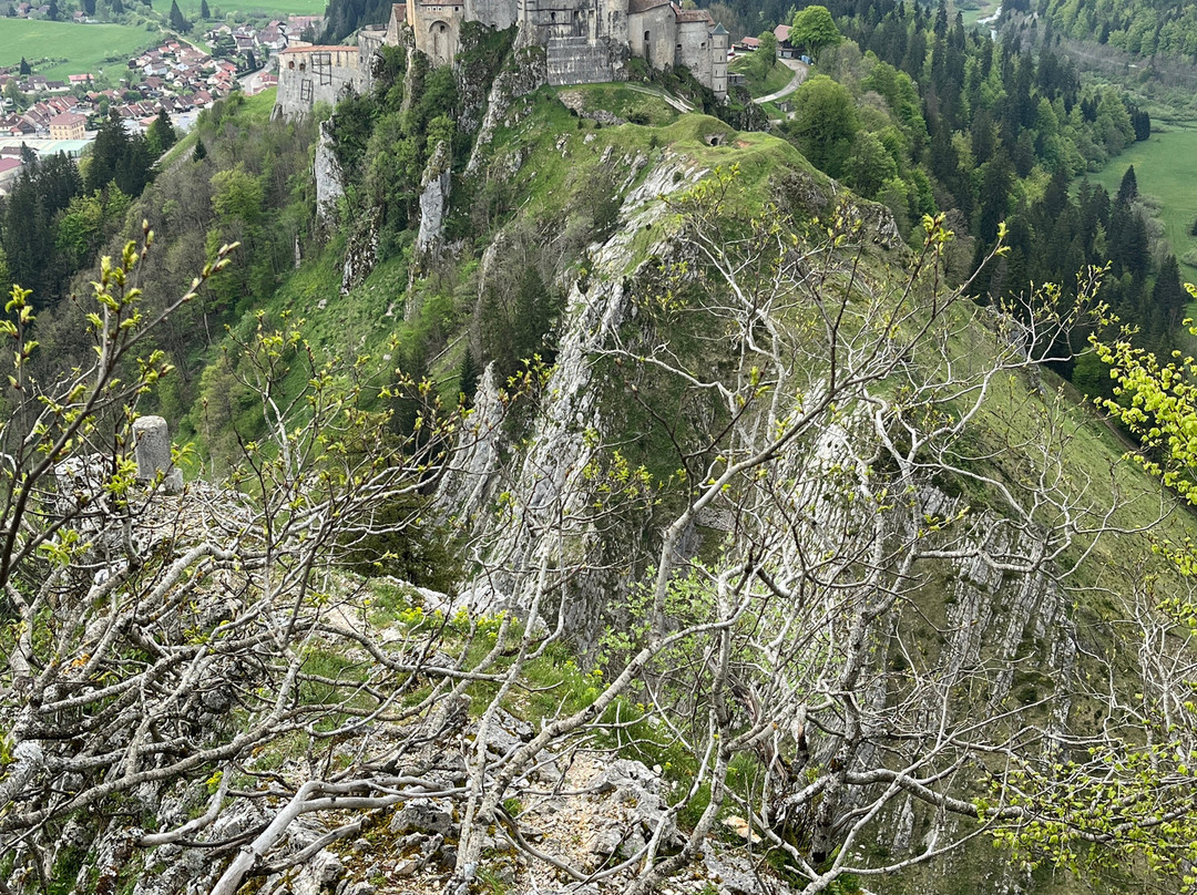 Fort Malher du LArmont Inférieur-La Cluse-et-Mijoux必去景点