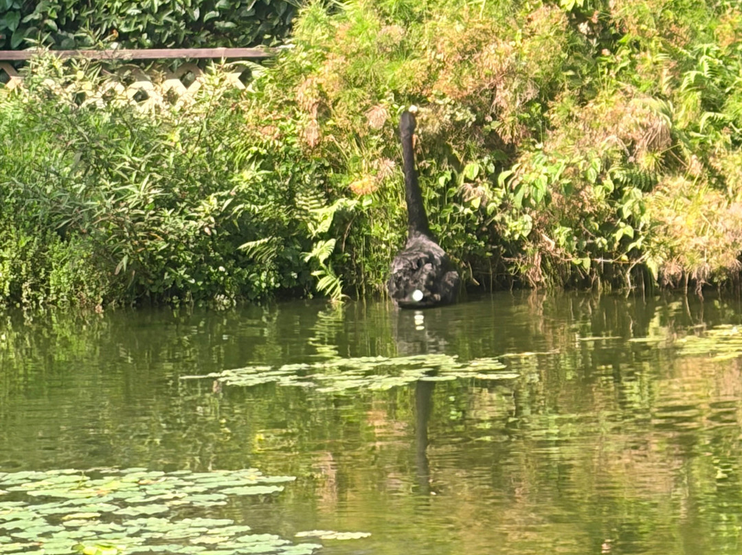 帕奈瓦热带雨林动物园-希洛必去景点