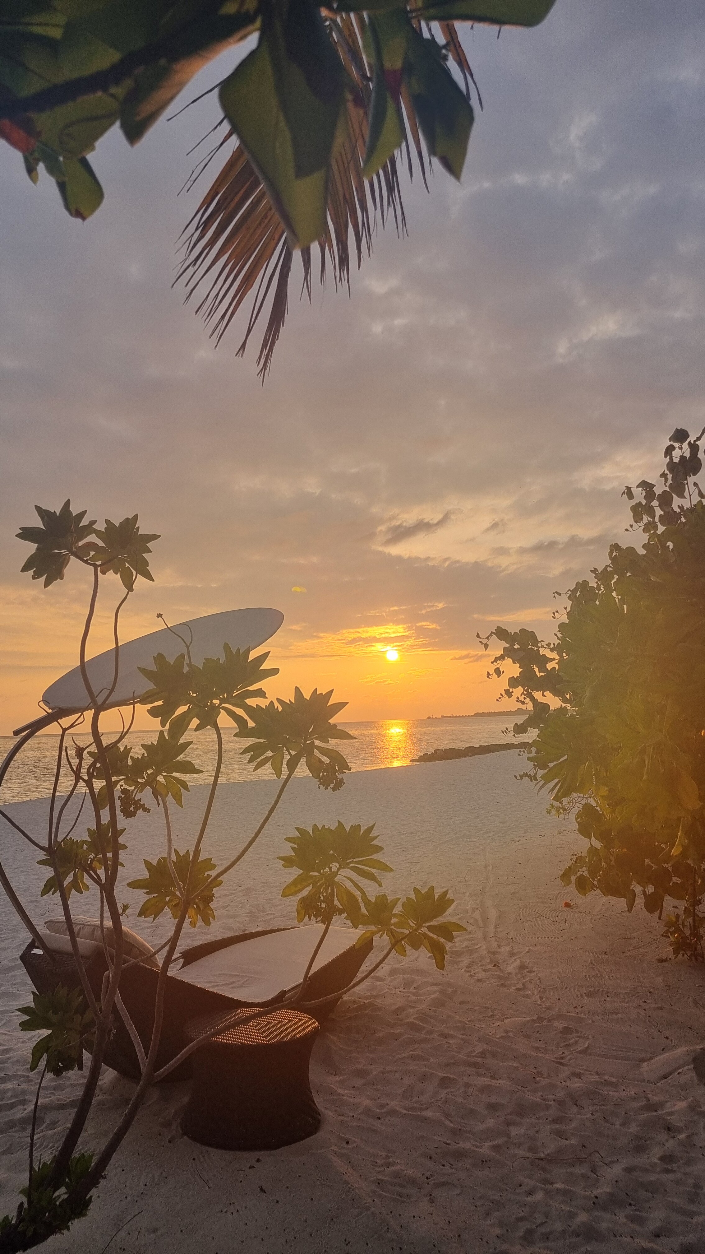 Heritance Aarah-泳池