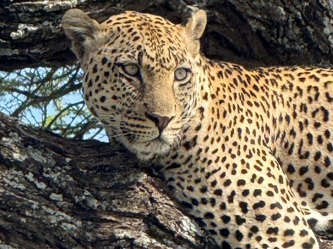 Walking Connection Adventure Travel-格兰岱尔必去景点