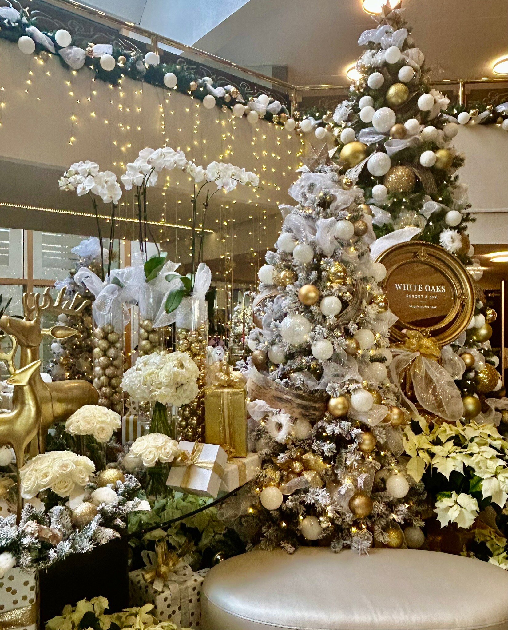 White Oaks Resort & Spa-官方