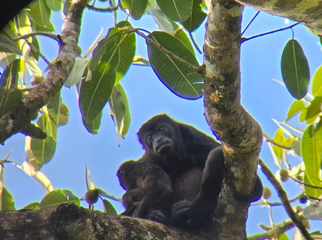My Costa Rica-圣何塞必去景点