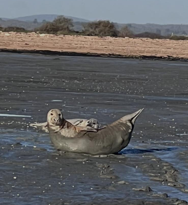 Chichester Harbour Water Tours-West Itchenor必去景点