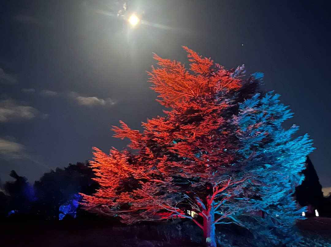 Calke Abbey-Ticknall必去景点