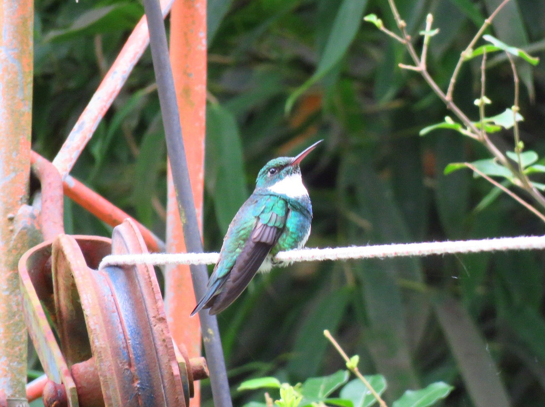 Delta Unplugged-蒂格雷必去景点