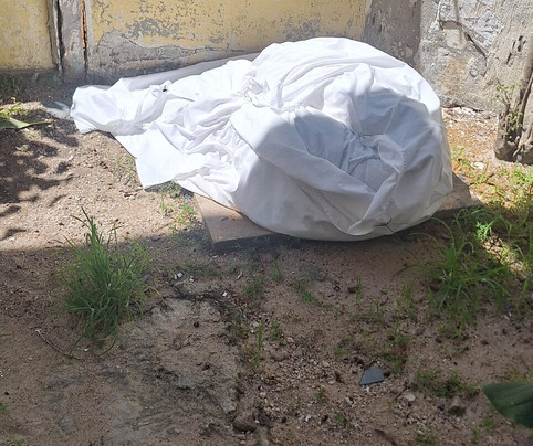 Sueds Segundo Sol主图