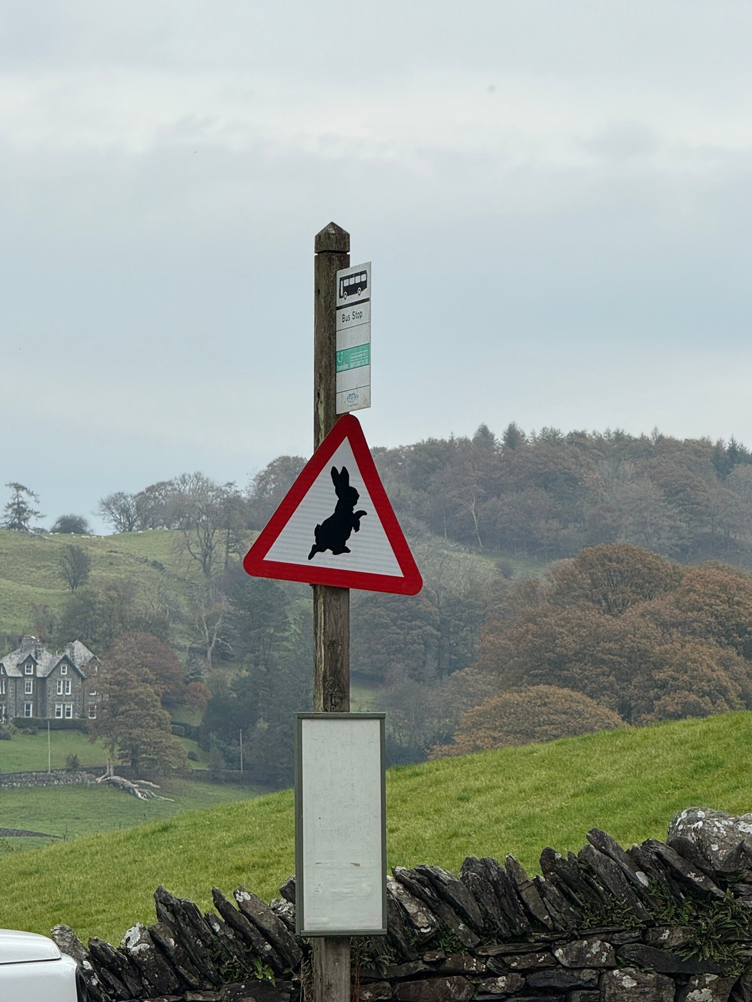 索里别墅酒店-官方