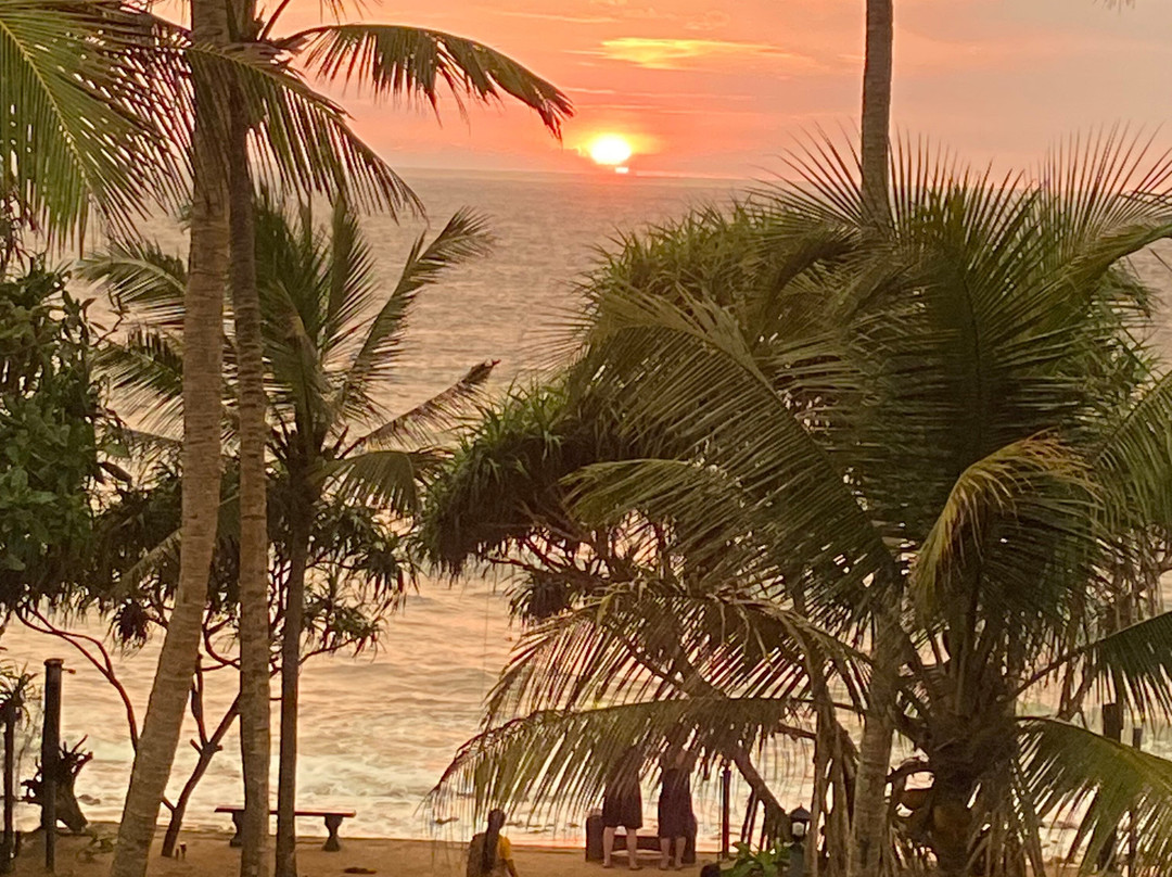 The Garden Beach Ayurveda Resort主图