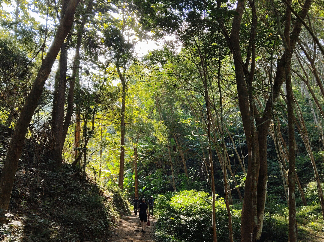 Trip Corner-清莱必去景点