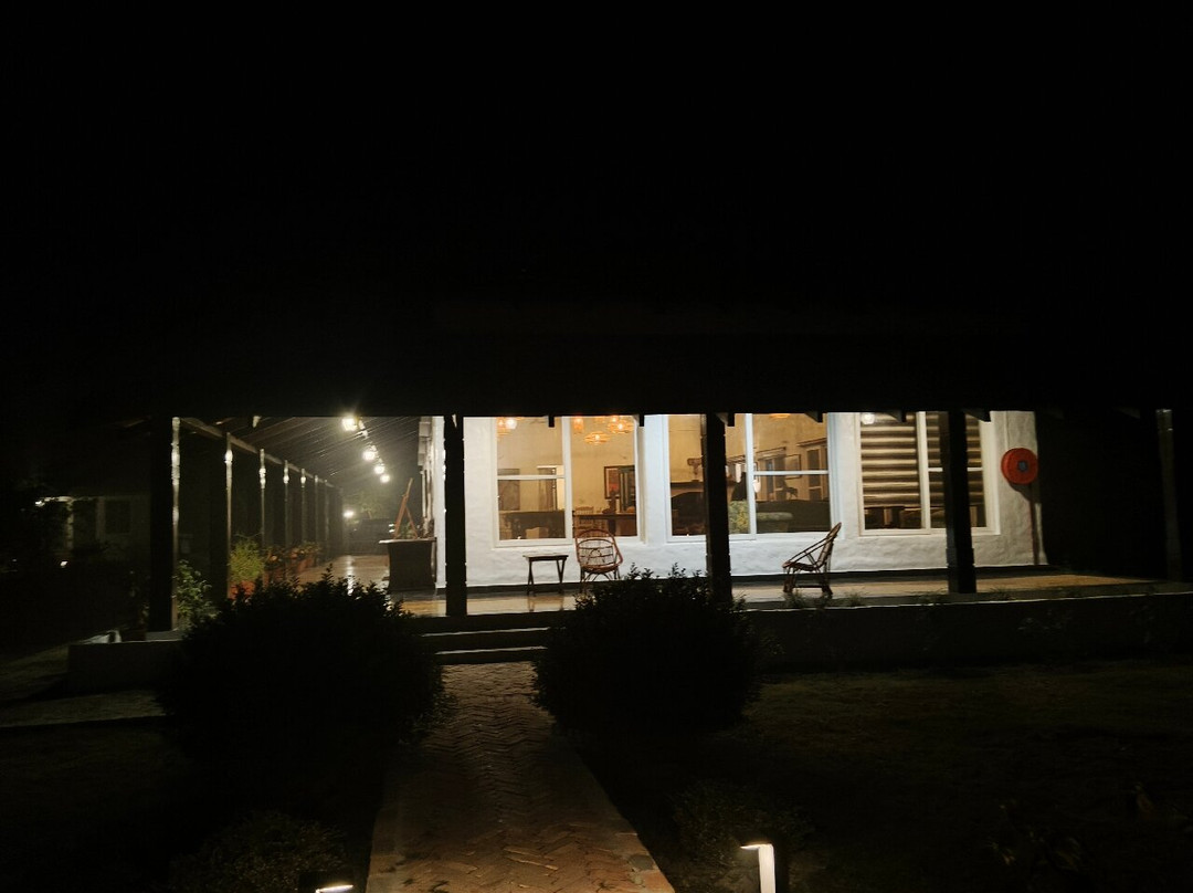 Camp TigerLily主图