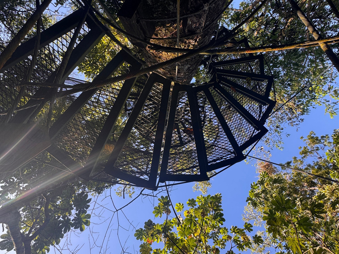 Mountain Top Park-哥斯达黎加安东尼奥国家公园必去景点