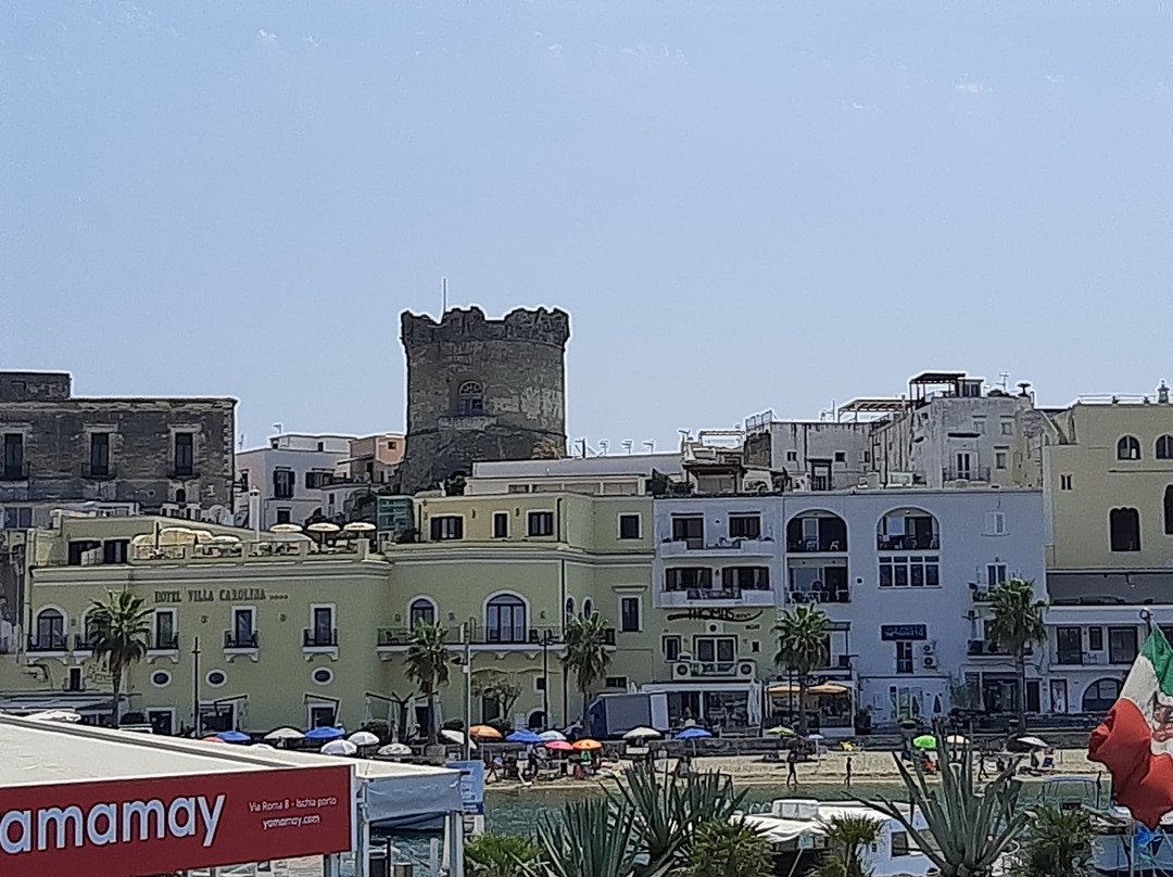 Hotel Villa Hibiscus主图