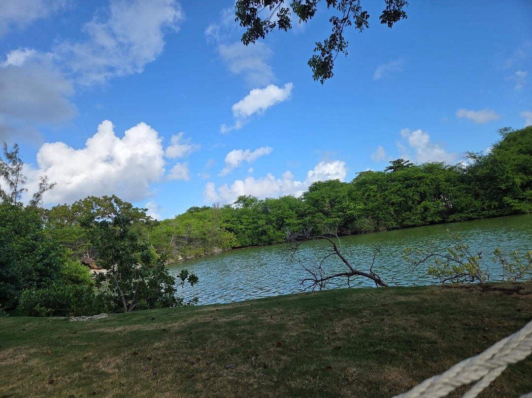 Shangri-La Bed & Breakfast主图