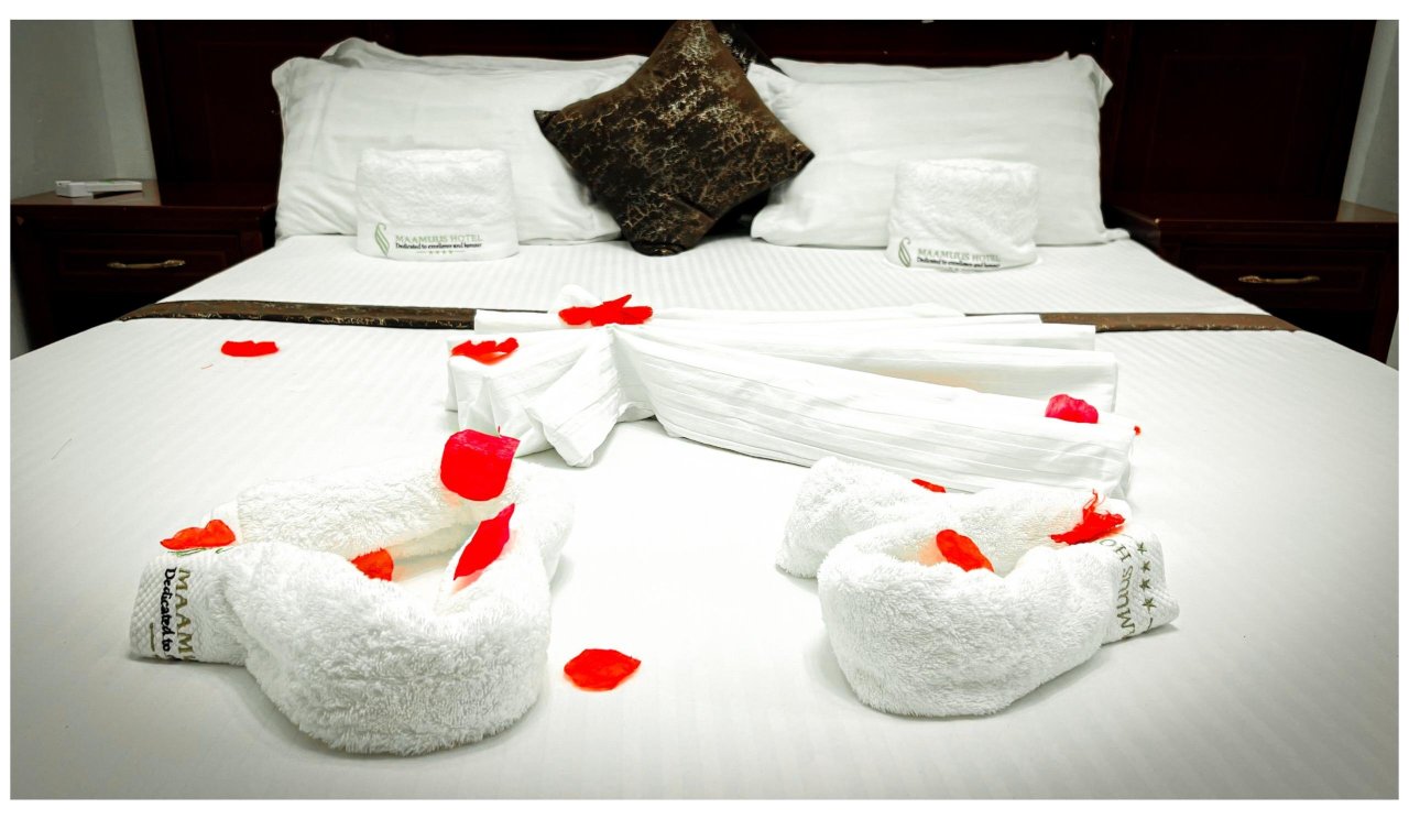 Maamuus Hotel Hargeisa-客卧