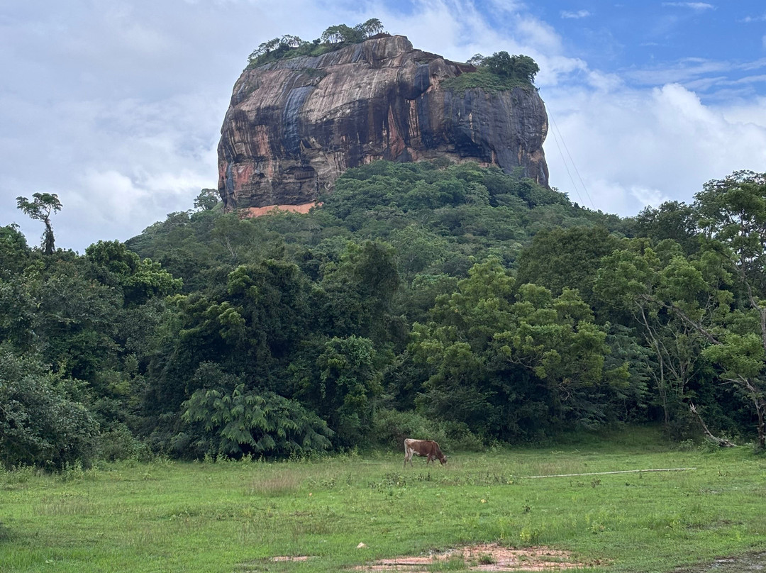 Fernando Tours Sri Lanka-Ja Ela必去景点