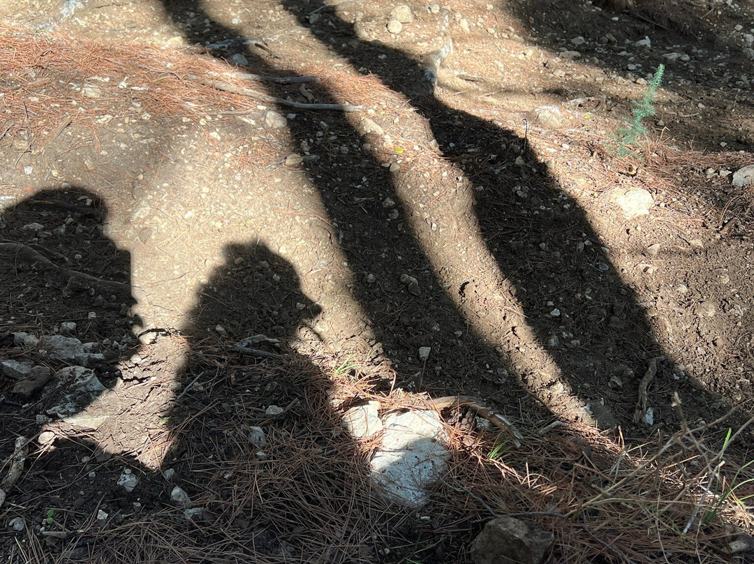 Diocletians Dream-斯普利特必去景点