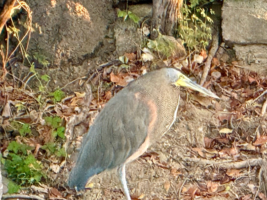 Lalo Ecotours-埃斯孔迪多港必去景点