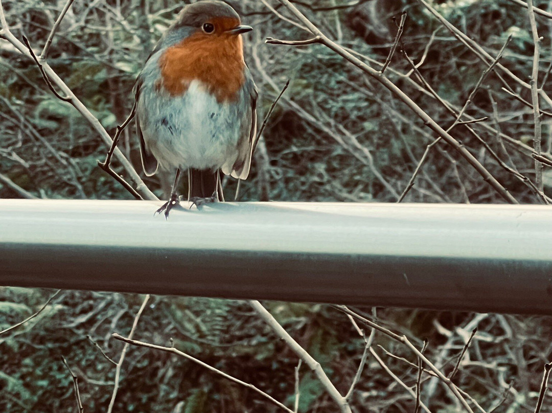 Seabeds Luxury Lookouts Lodges @ Woodlands Glencoe主图