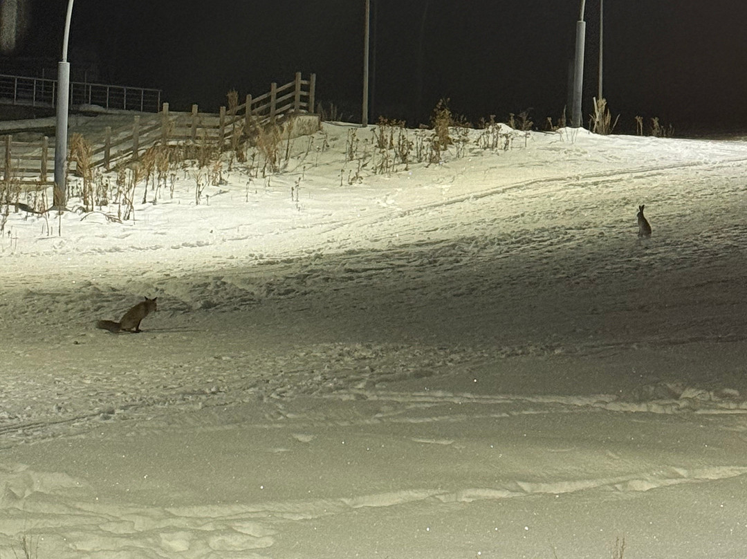 White Park Hotel主图