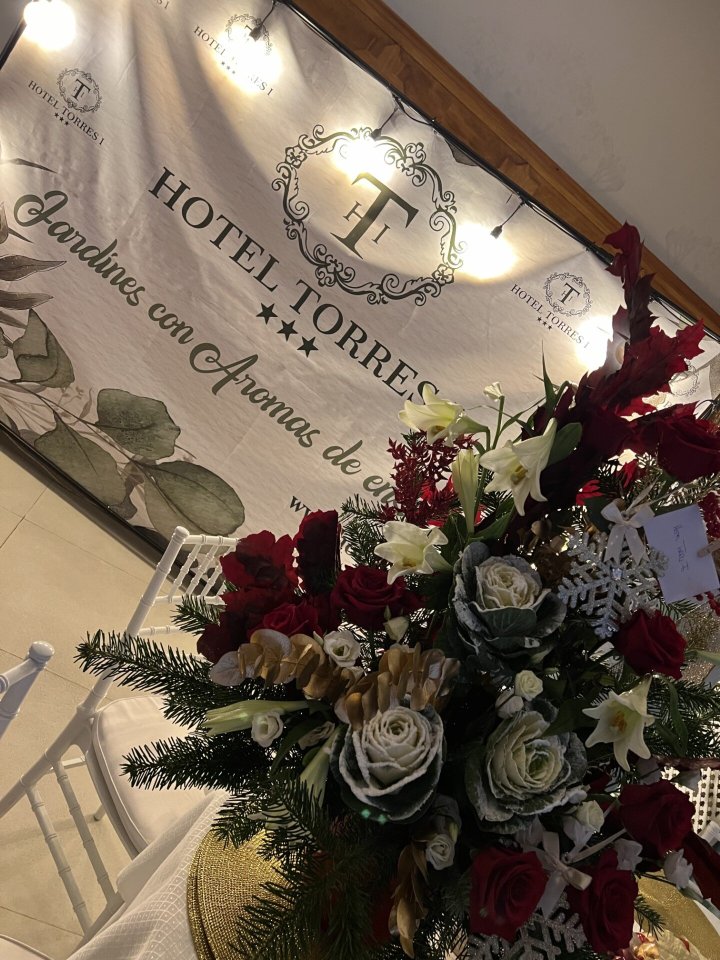 Hotel Torres I-官方