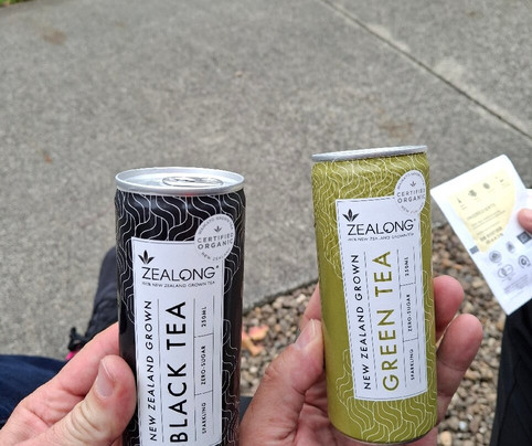 Zealong Tea Estate-汉密尔顿必去景点