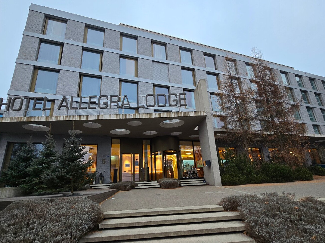 Hotel Allegra Lodge主图
