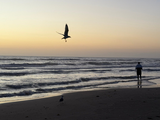 Holiday Inn Express & Suites South Padre Island by IHG主图