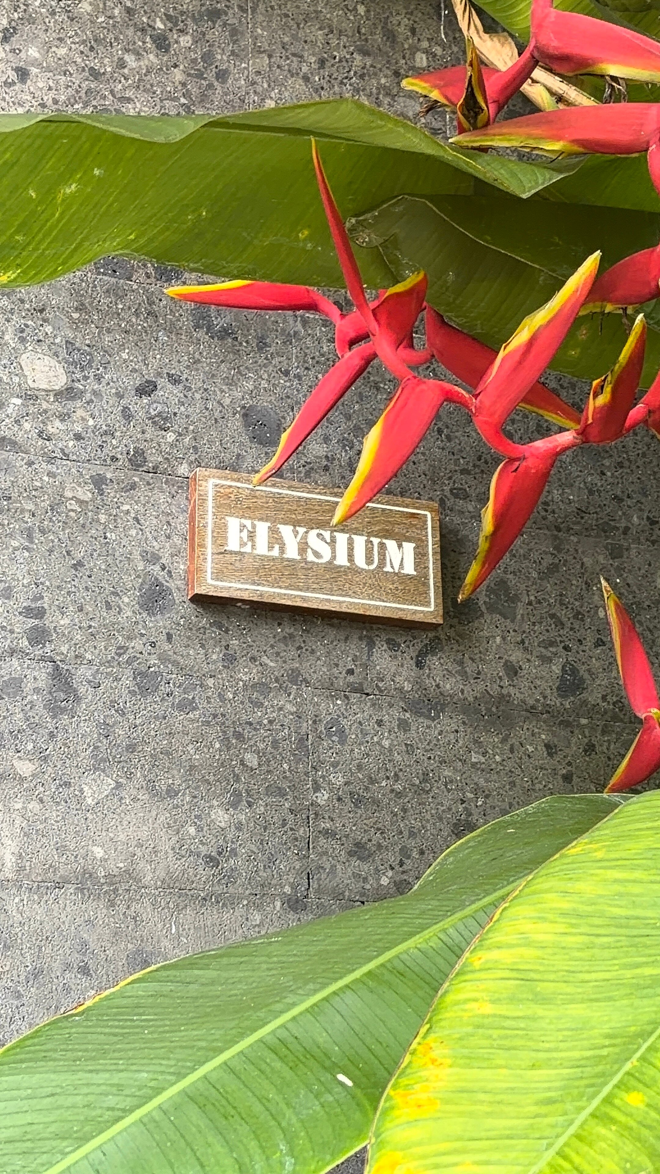 Swan Paradise A Pramana Experience-客卧