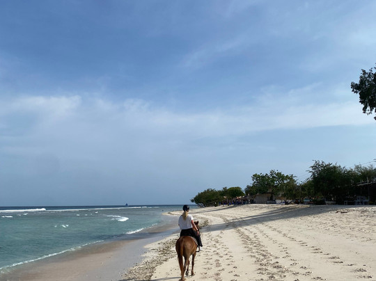 Stud Horse Riding and Rescue-吉利特拉万安必去景点