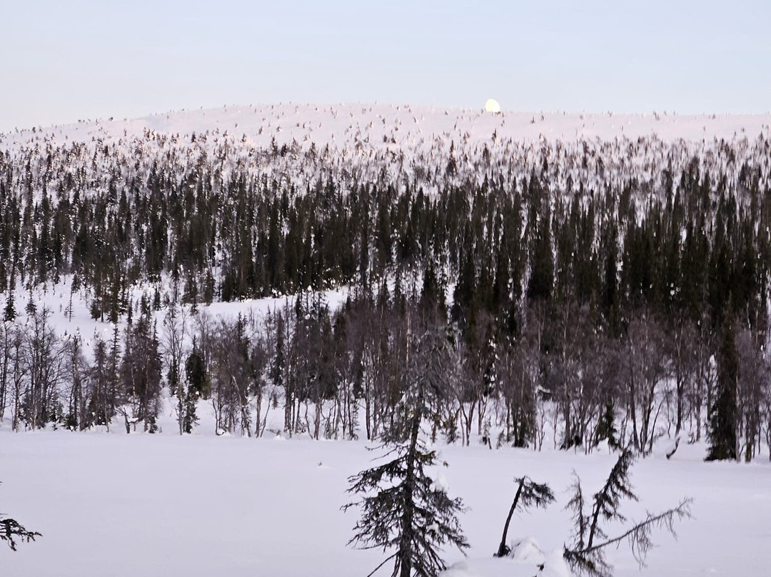 Lappitrek-Kittilä必去景点