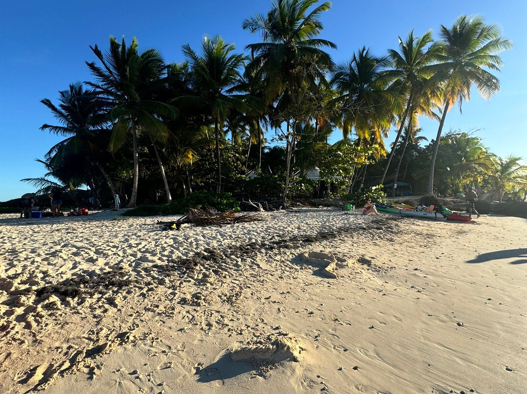Ilet du Gosier-Le Gosier必去景点