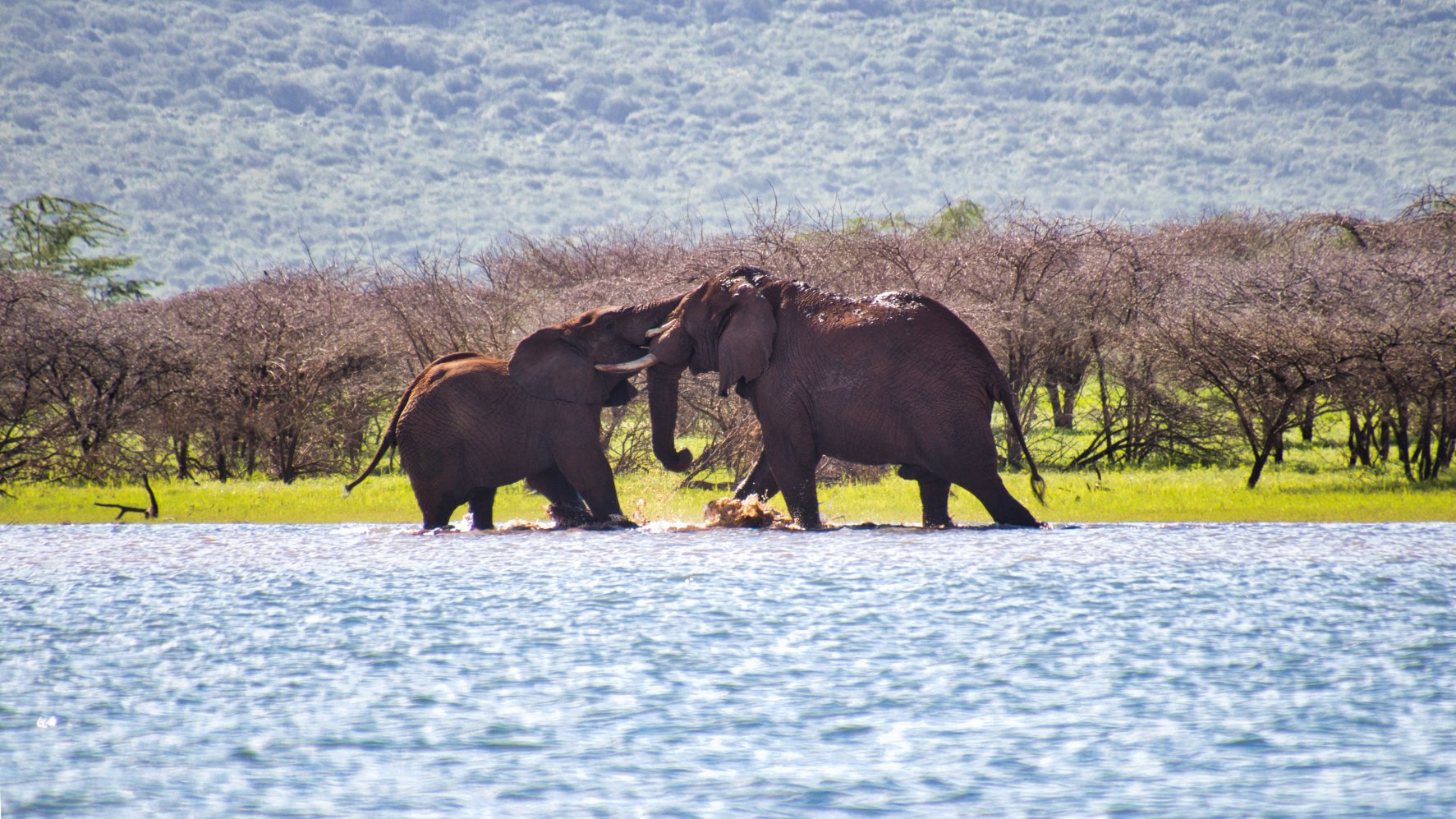 Cycad Rock Fishing Lodge-官方