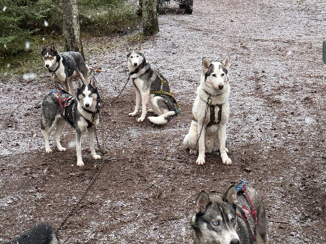 Arctic Expedition-埃斯波必去景点