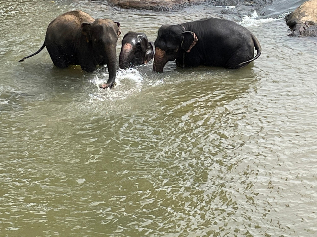 Relax Lanka Tours-尼甘布必去景点