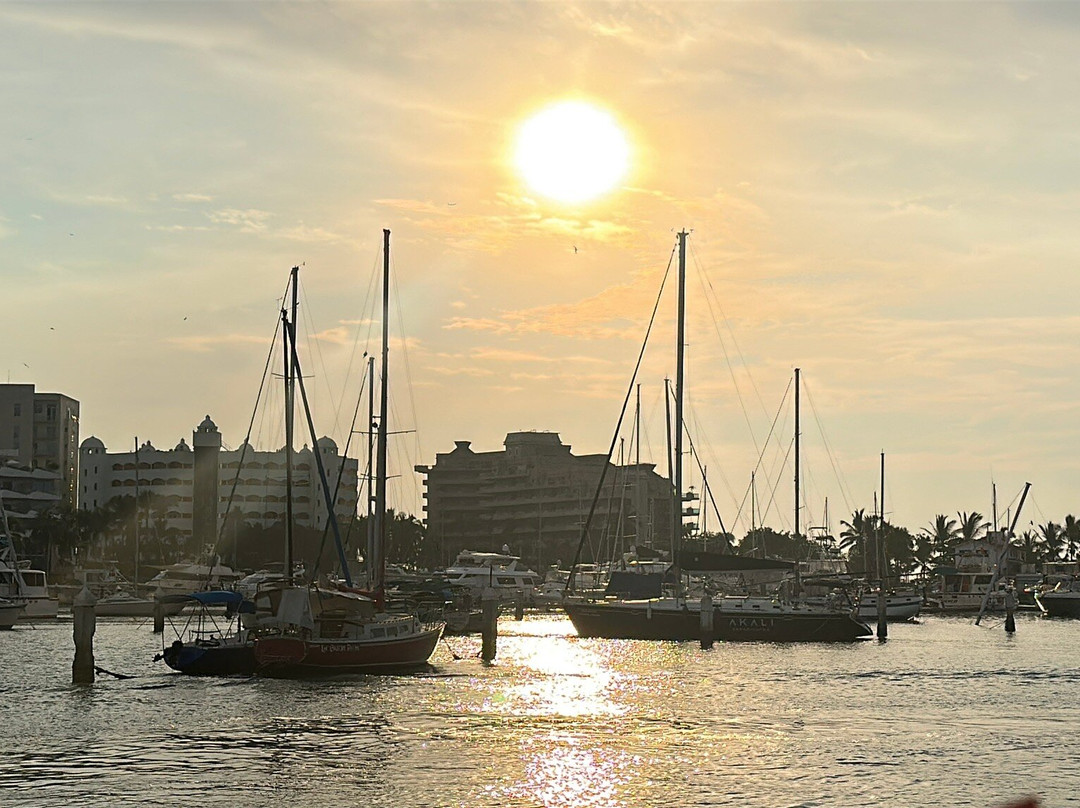 Rhythms of the Night by Vallarta Adventures-瓦拉塔港必去景点