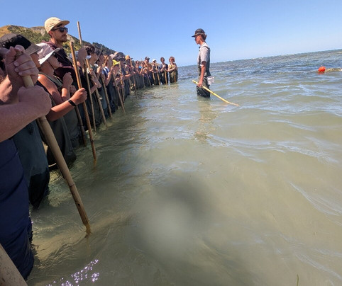 Dive Tatapouri-Gisborne Region必去景点