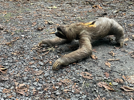 Metropolitan National Park-巴拿马城必去景点