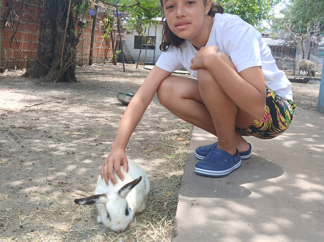Museo Acuario Federacion-Federación必去景点