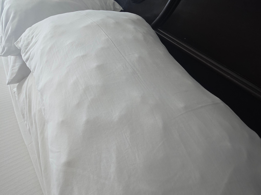 里乌宫殿天堂岛酒店 - 限成人- 全包主图