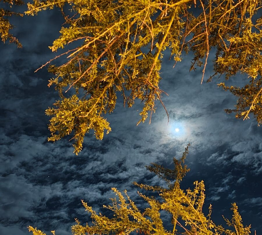 Rancho Cacachilas-El Sargento必去景点